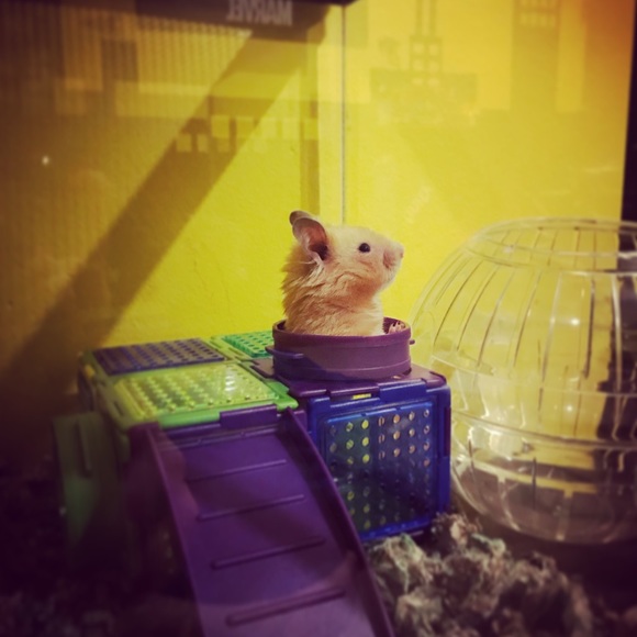 Meet your Posher, Estee - Picture 1 of 1